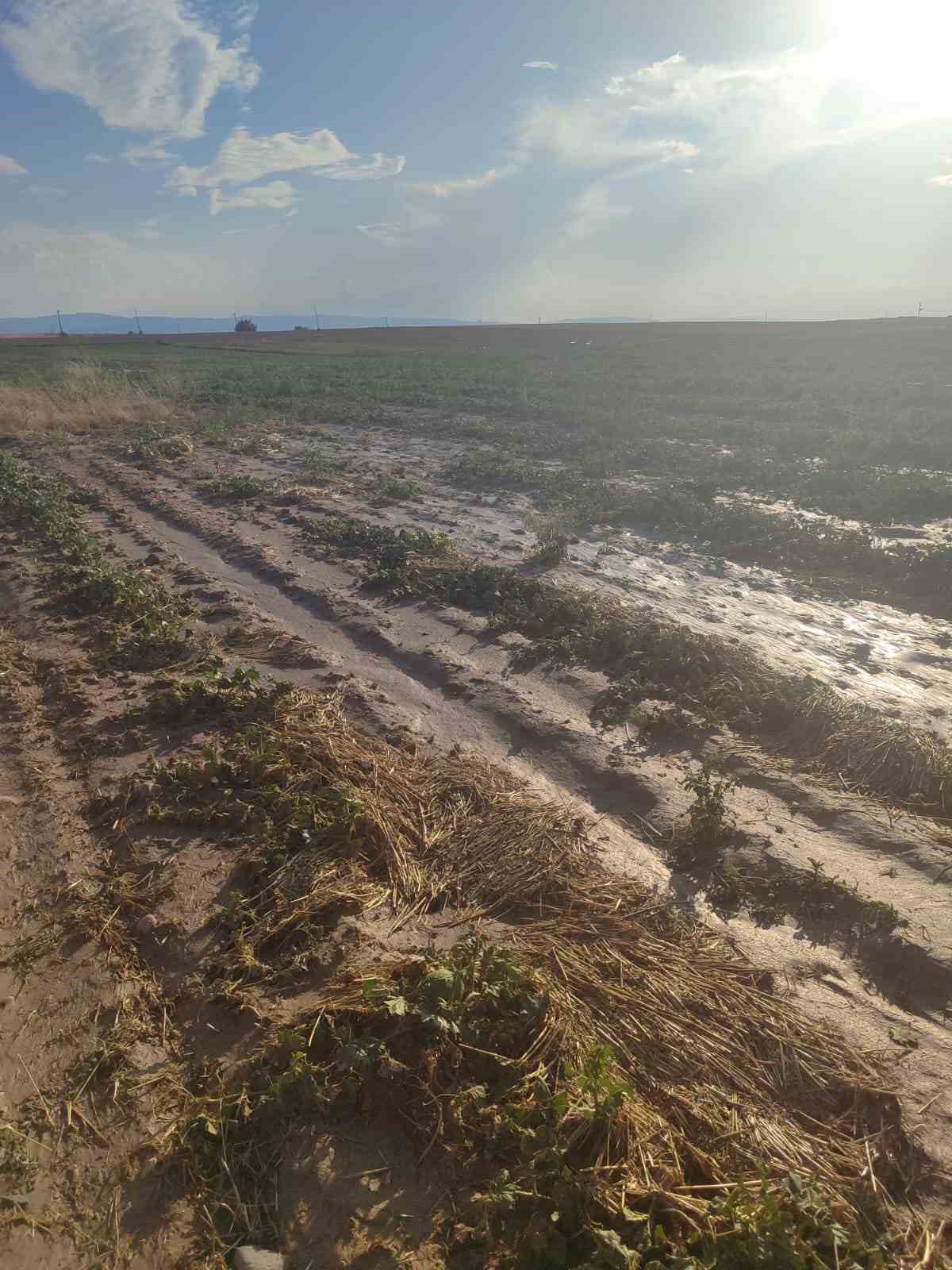Beypazarı’nda sağanak yağış tarlalara zarar verdi
