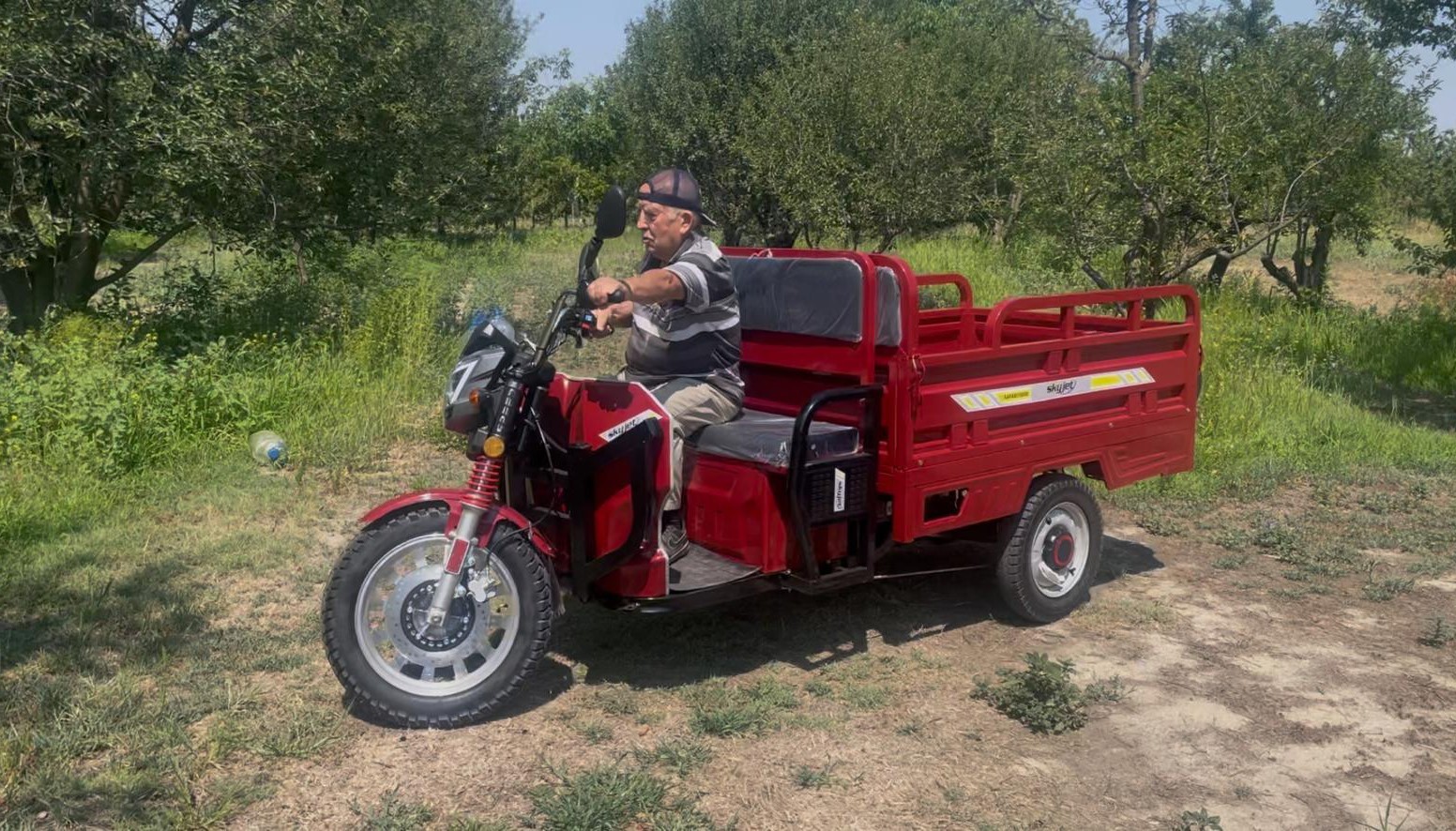 ’Patpat’ların tahtını 