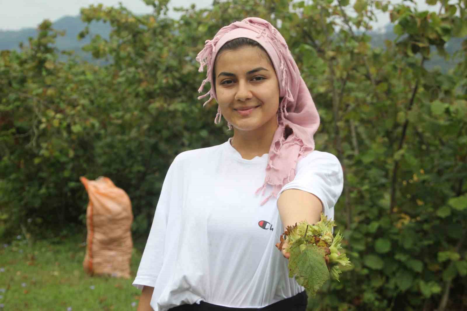 Yeşil altın fındıkta hasat başladı