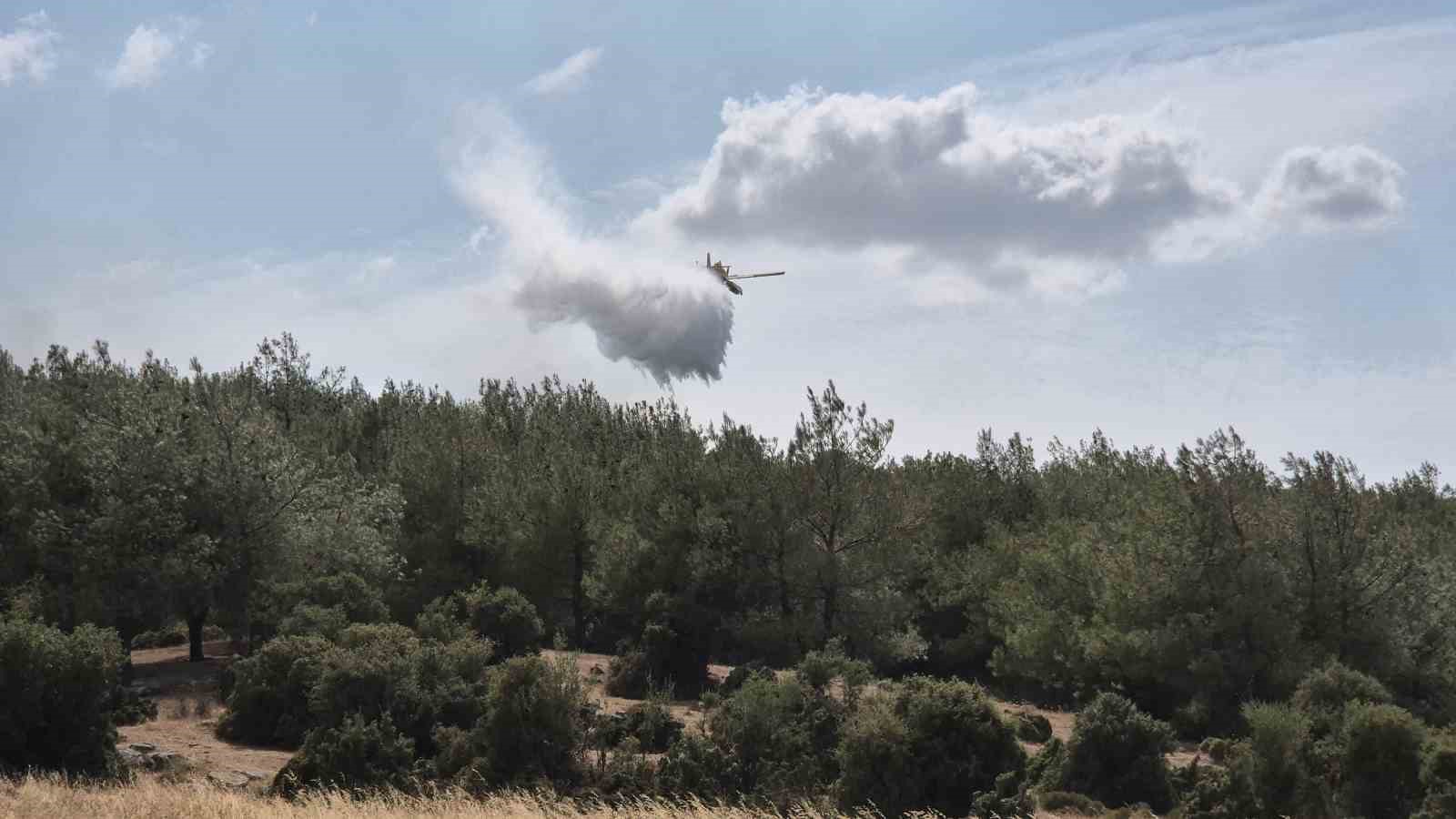 Edirne’de çıkan yangın ormanlık alana sıçradı: Havadan ve karadan müdahale ediliyor