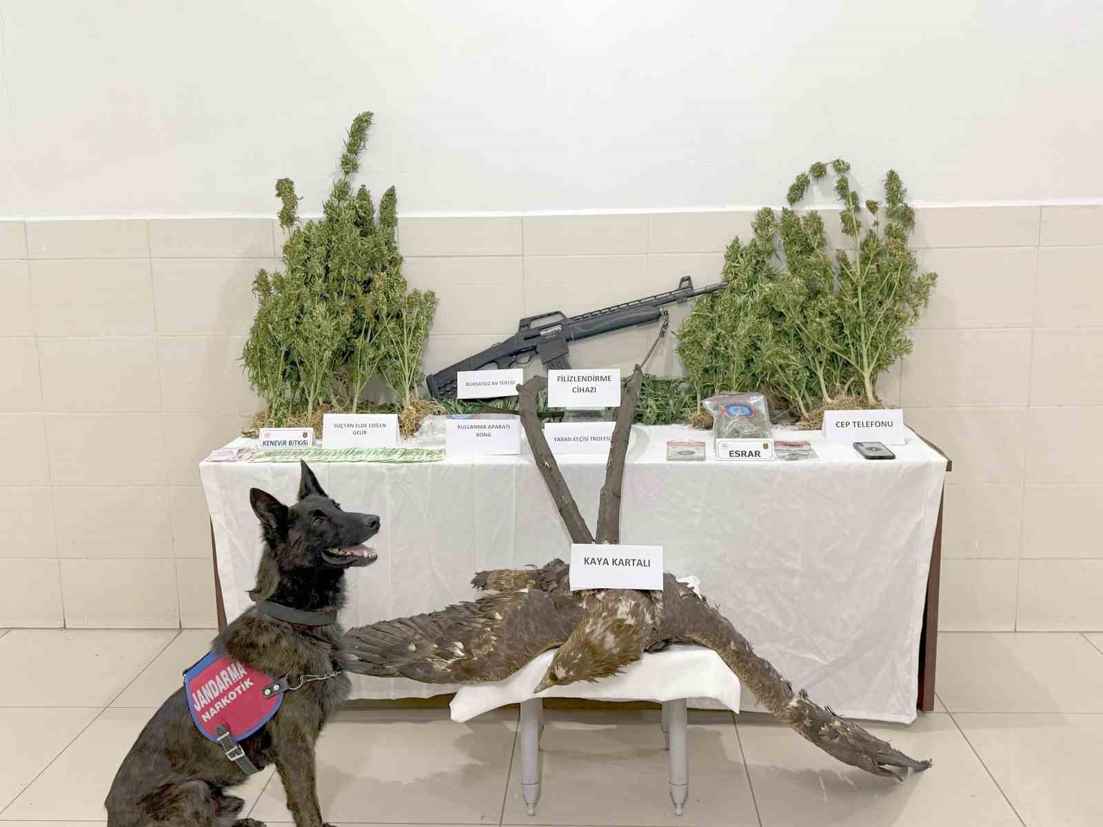 Tunceli’de uyuşturucu operasyonu