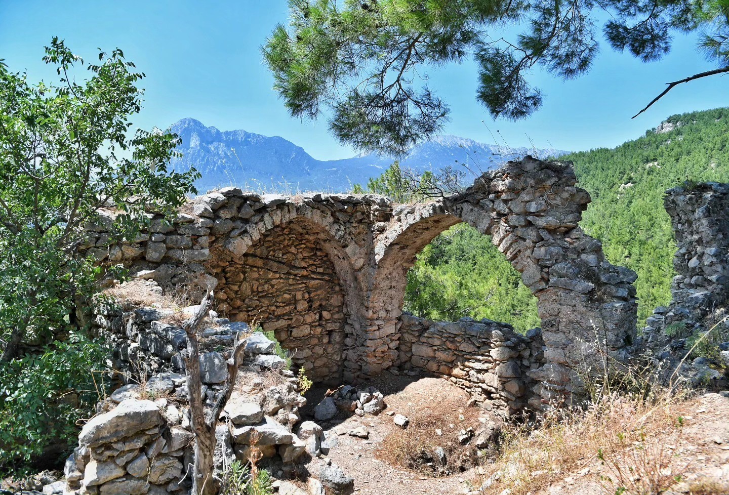 Başkan Kotan: 