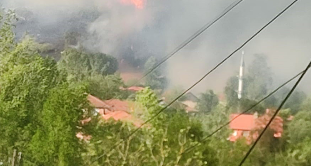 Bartın’da orman yangın!