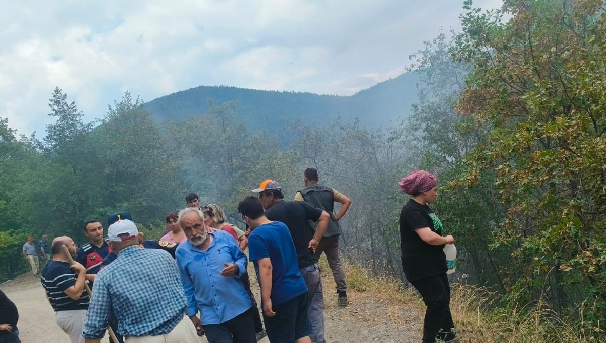 Çatalzeytin’de çıkan orman yangını kontrol altına alındı