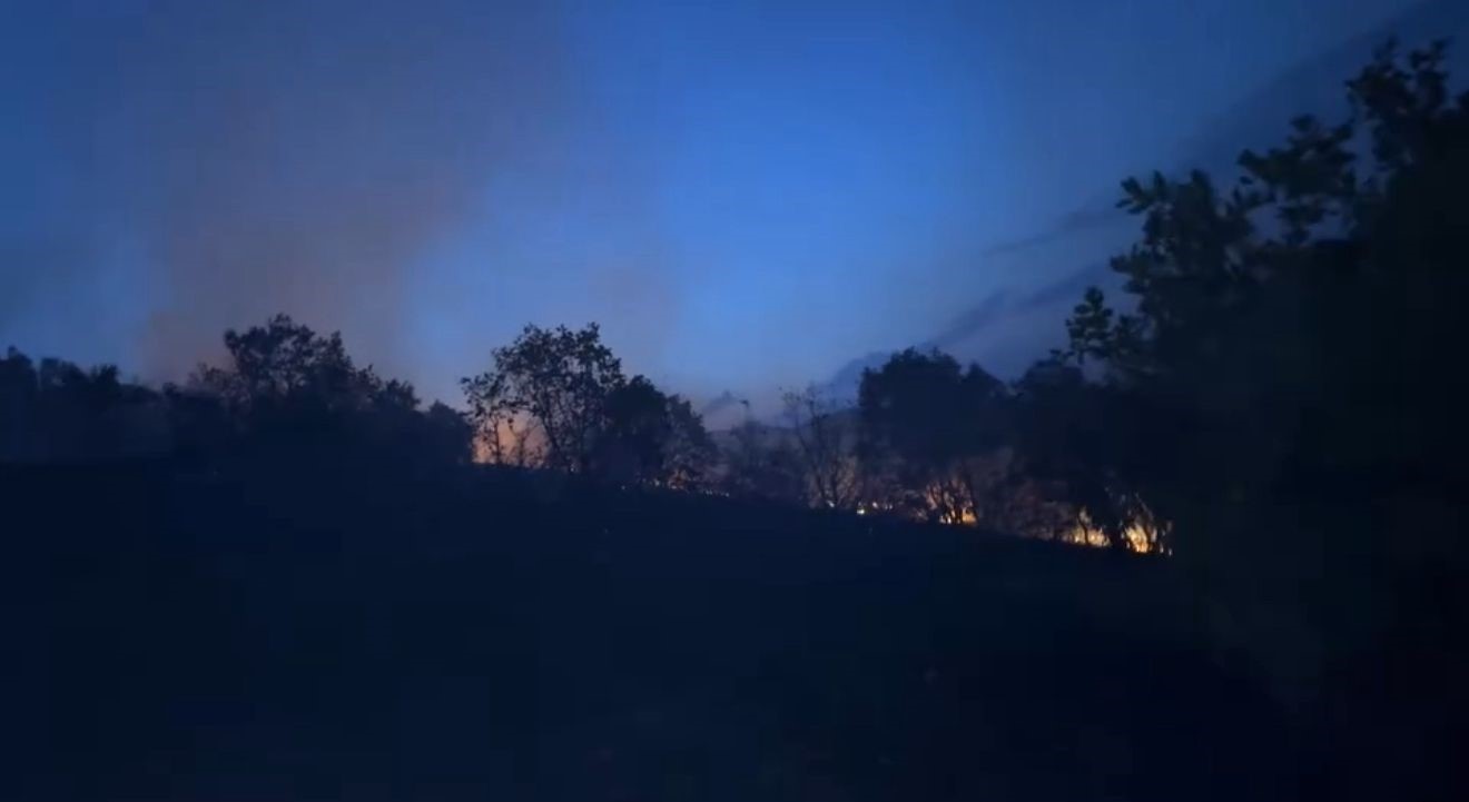 Diyarbakır’da ağaçlık alanda korkutan yangın: Alevlerin yaklaştığı ev tahliye edildi