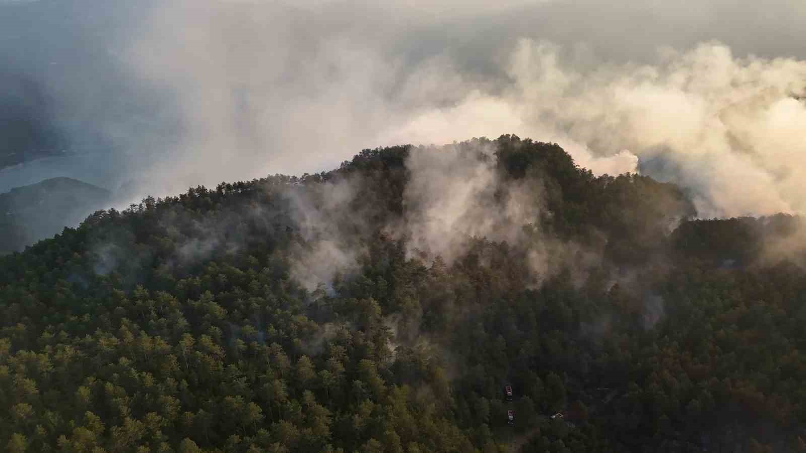 Sinop’taki orman yangını kontrol altına alındı, soğutma çalışmaları sürüyor