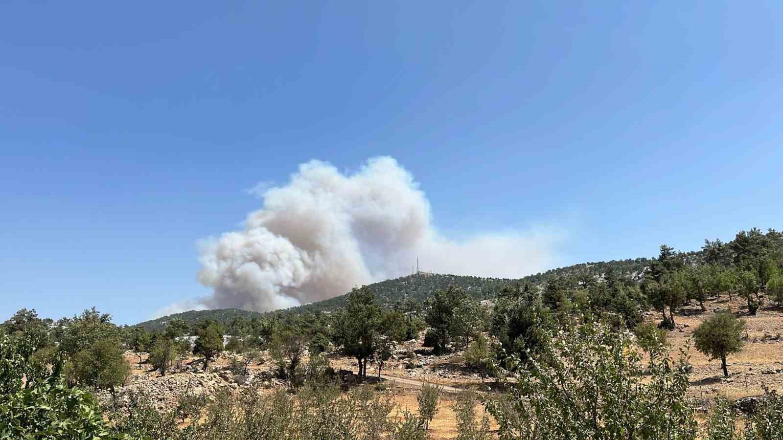 Mersin’de orman yangını