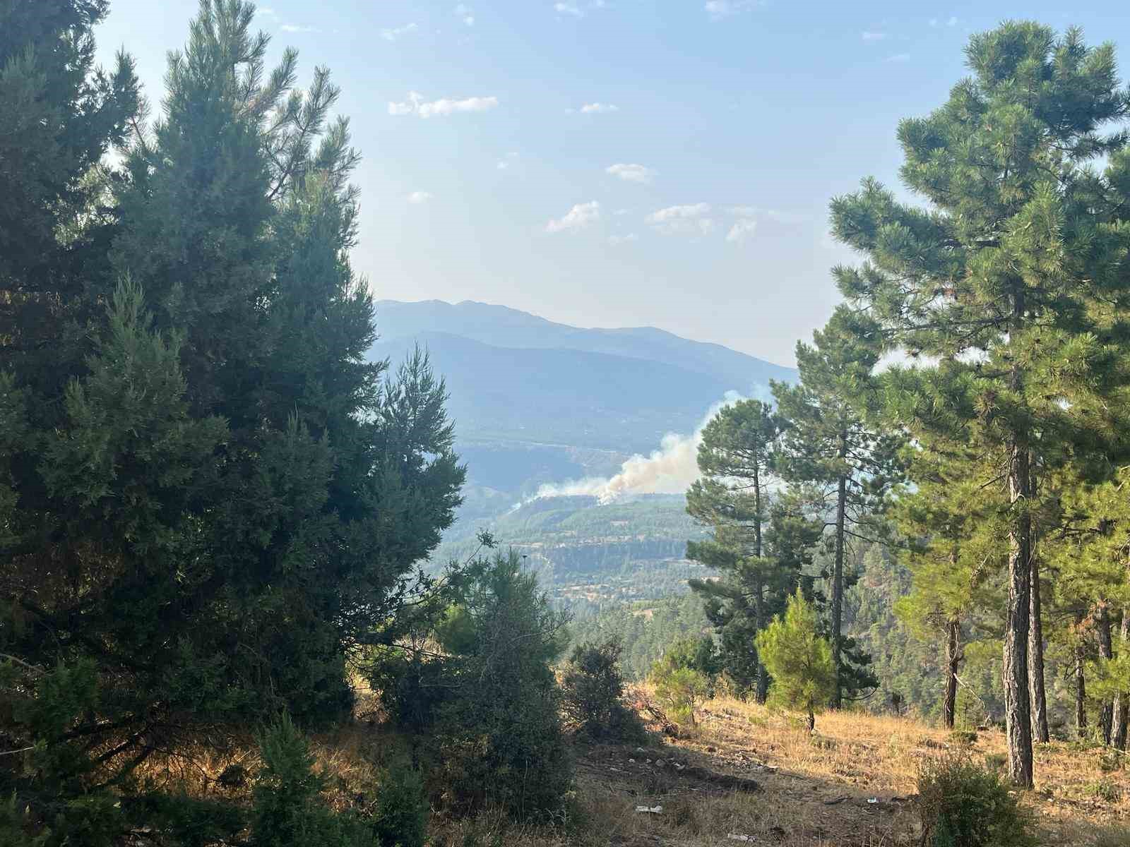 Denizli’de sarp bölgede devam eden yangına müdahale ediliyor