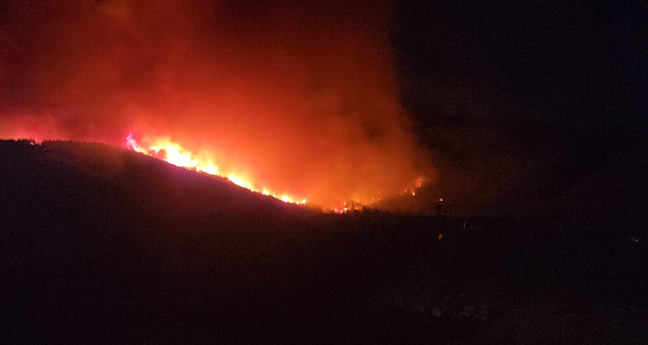 Hatay'da orman yangını!