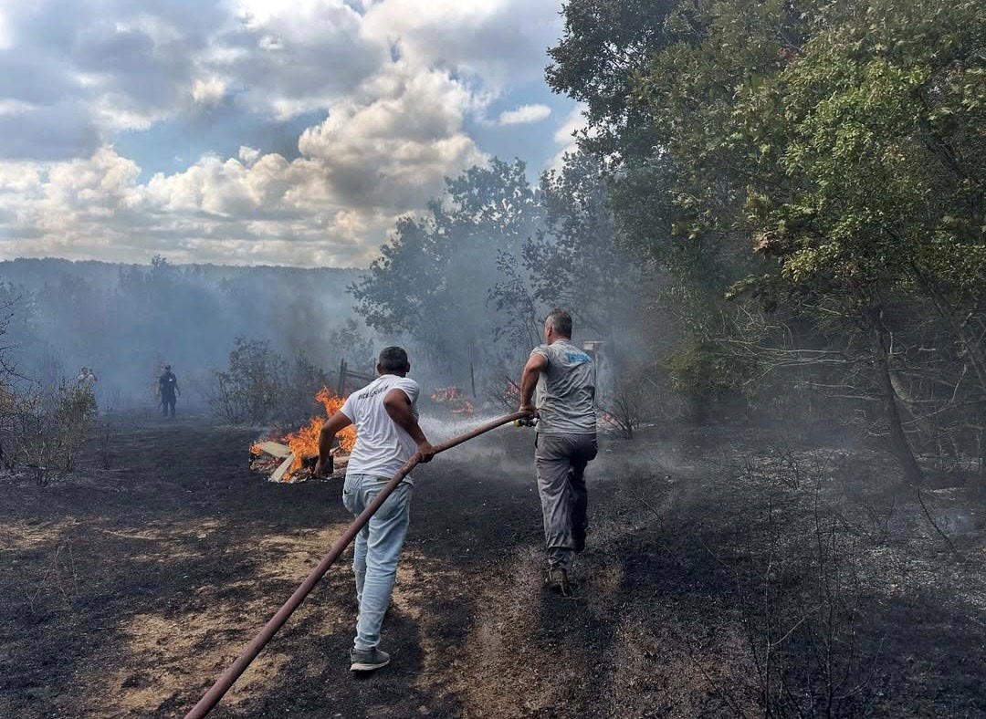 İğneada’da çıkan orman yangını söndürüldü