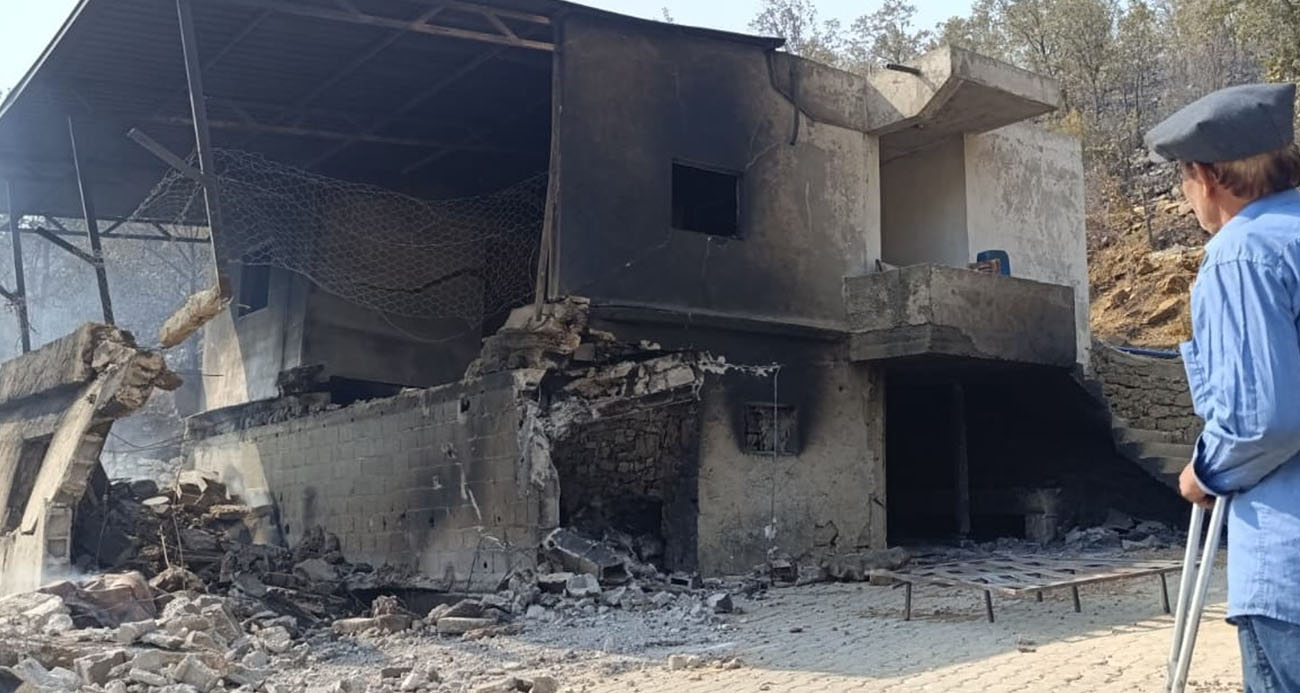 Mersin’de orman yangınında evler yandı, hayvanlar telef oldu