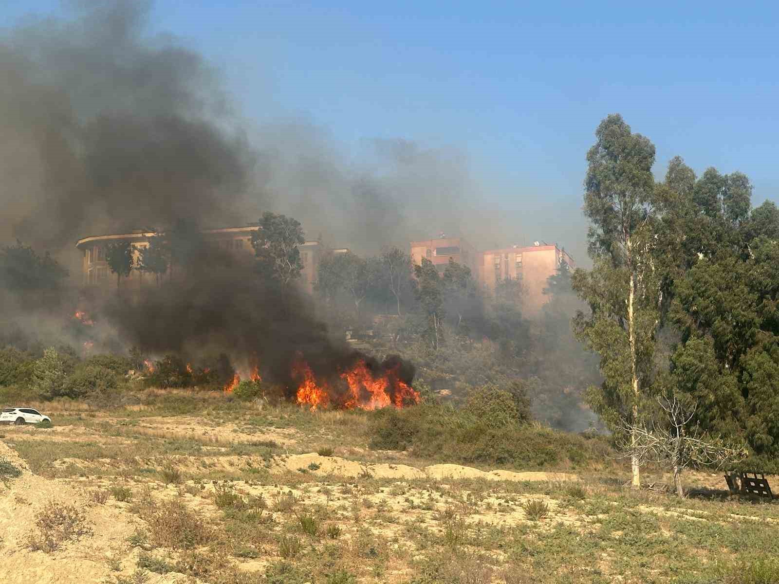 Adana’da yerleşim yeri çevresinde ağaçlık alanda çıkan yangın korkuttu