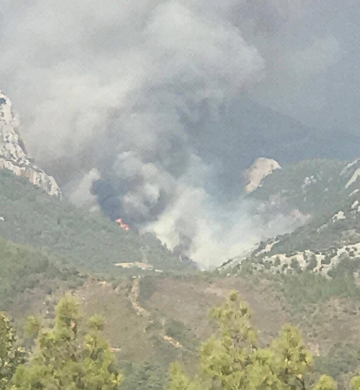 Mersin’de ikinci orman yangını