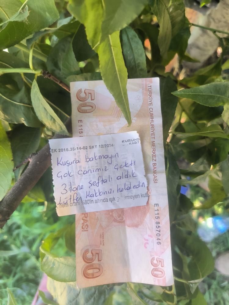 İnsanlık ölmemiş dedirten hareket