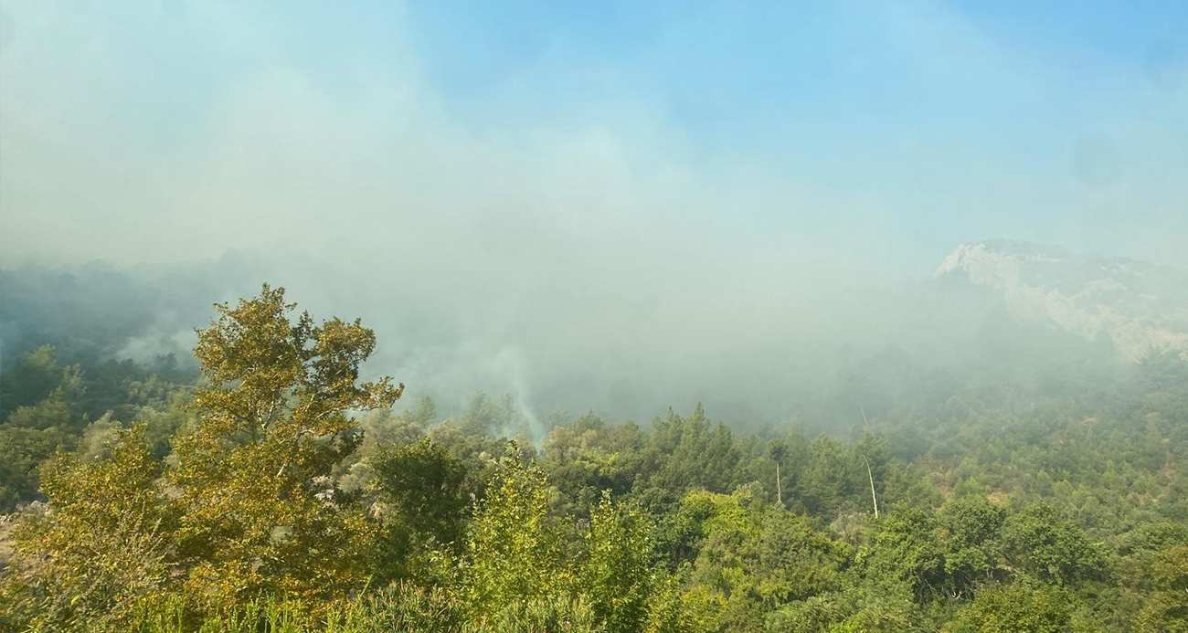 Mersin'de orman yangını sürüyor
