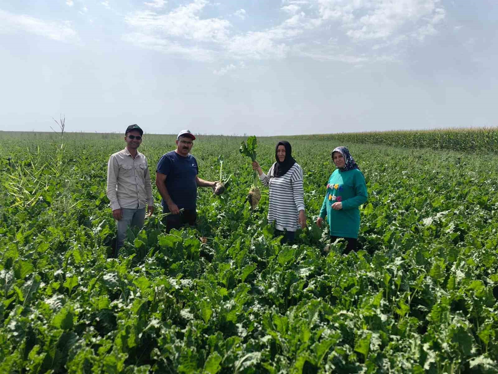 Karapınar Ovası’nda baharlık ürünlerin gelişimi incelendi