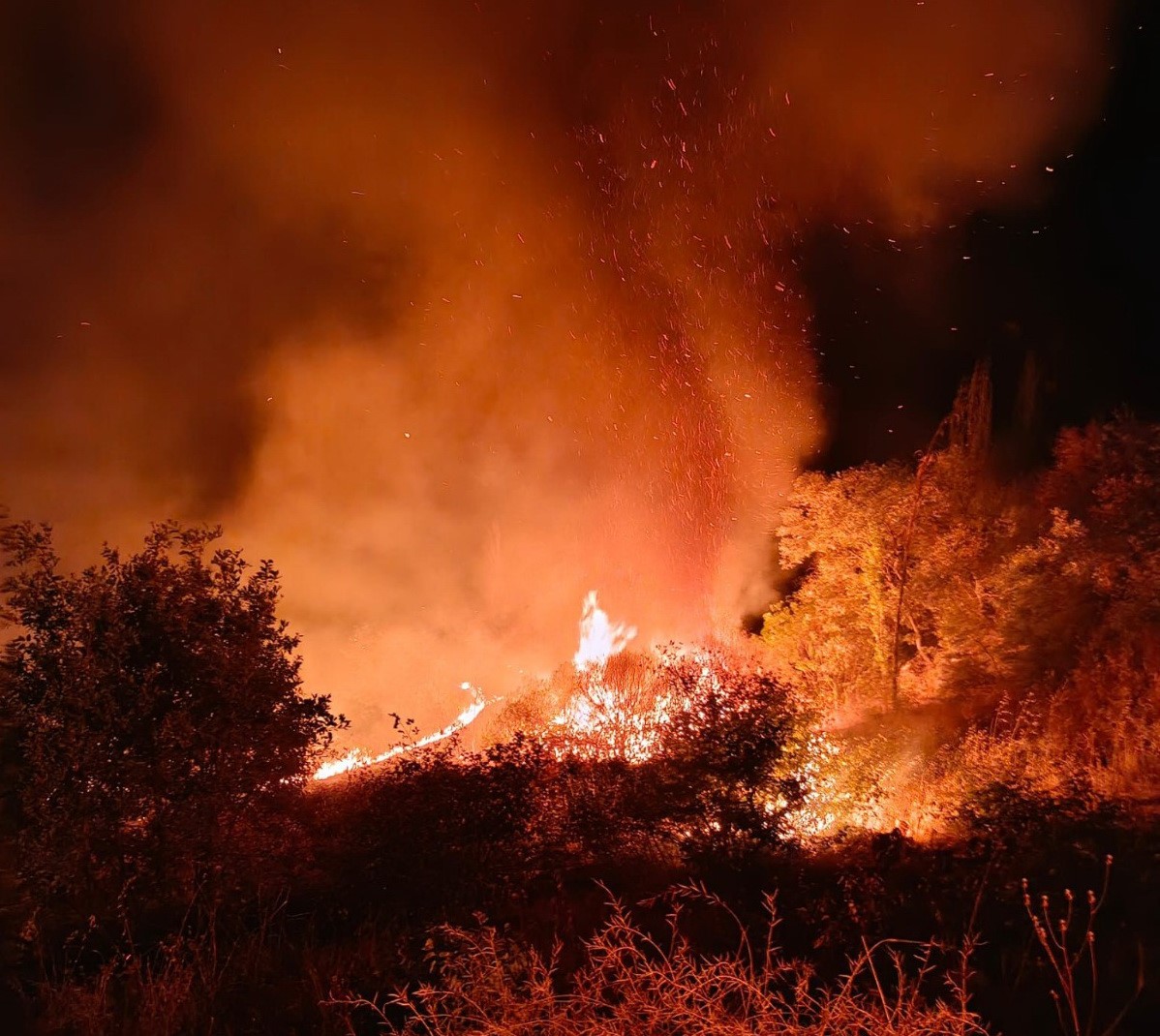 Besni’de 4 farklı noktada yangın