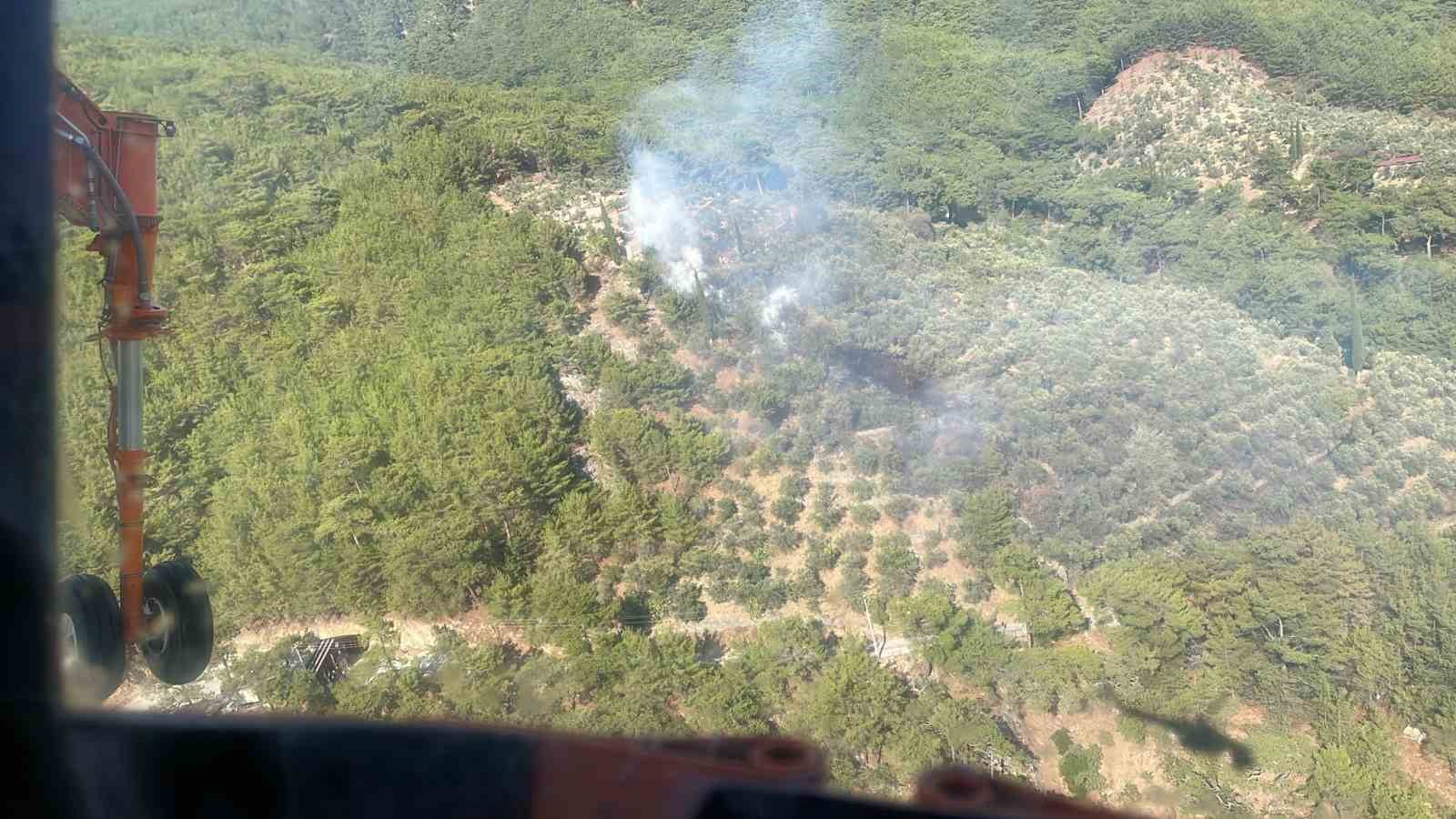 Kazdağları Milli Parkı’nda çıkan yangın kısa sürede söndürüldü