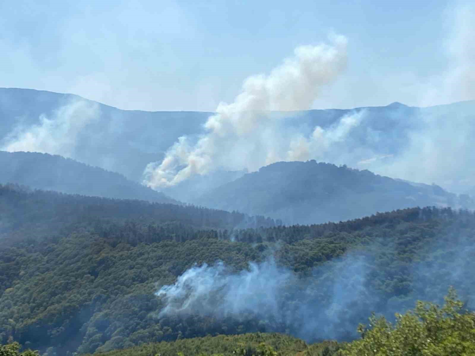 963 personel, 16 hava aracı ile Karamürsel’deki yangına büyük seferberlik