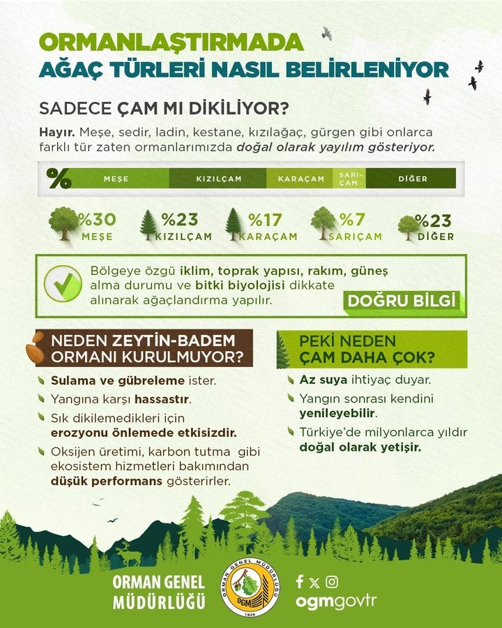 OGM tarafından orman yangınlarından sonra yapılan çalışmalar açıklandı