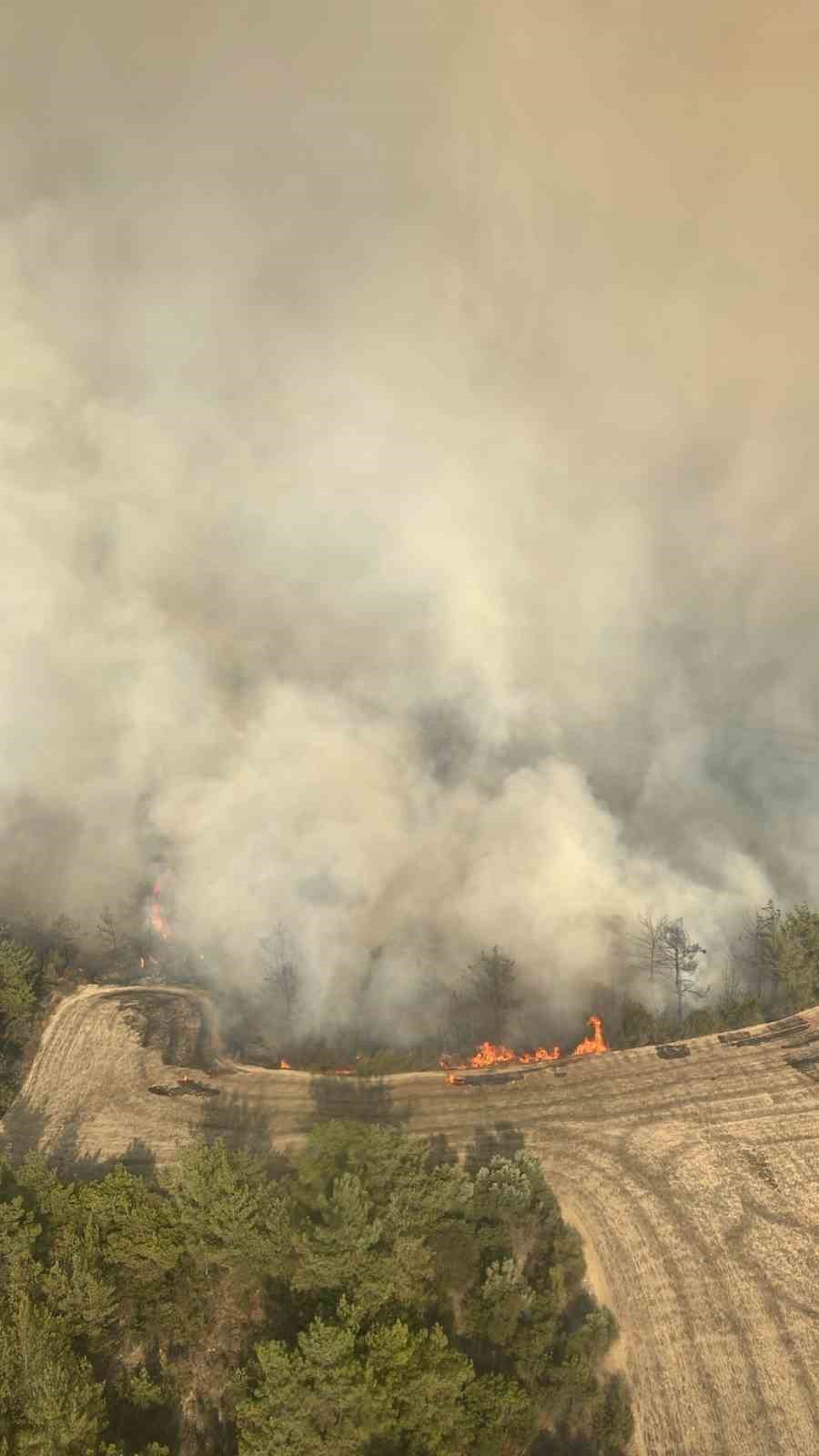 Adana’da orman yangınına 6 helikopter ve 2 uçakla müdahale ediliyor