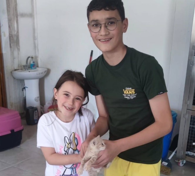 Bolu’da 10 sahipsiz sokak hayvanı yeni yuvasına kavuştu