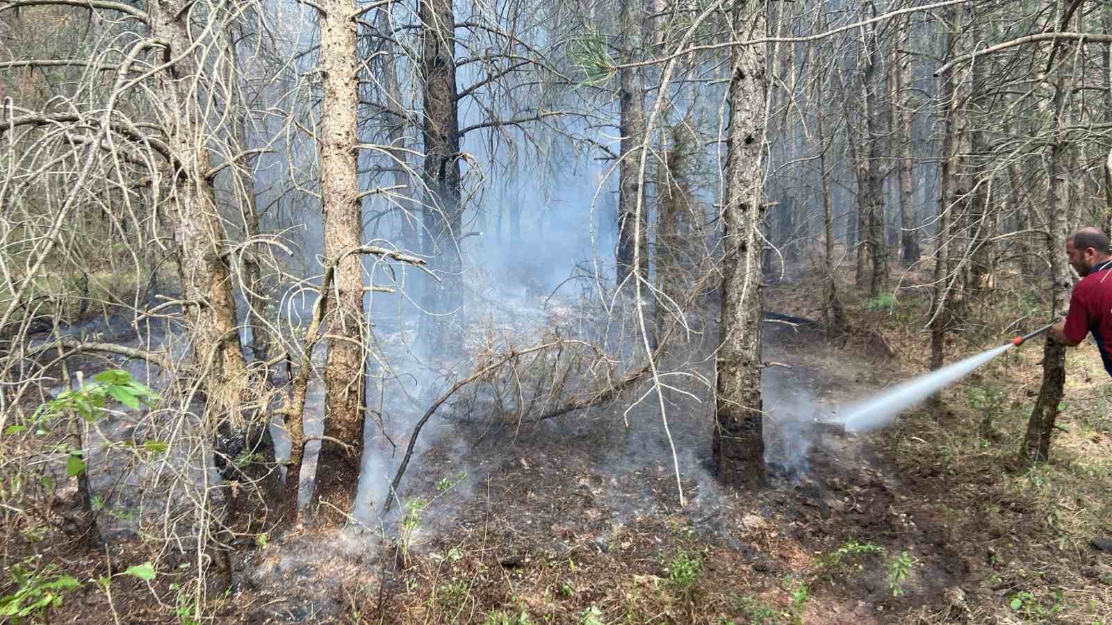 Bolu’da ormanlık alanda çıkan yangın kontrol altına alındı