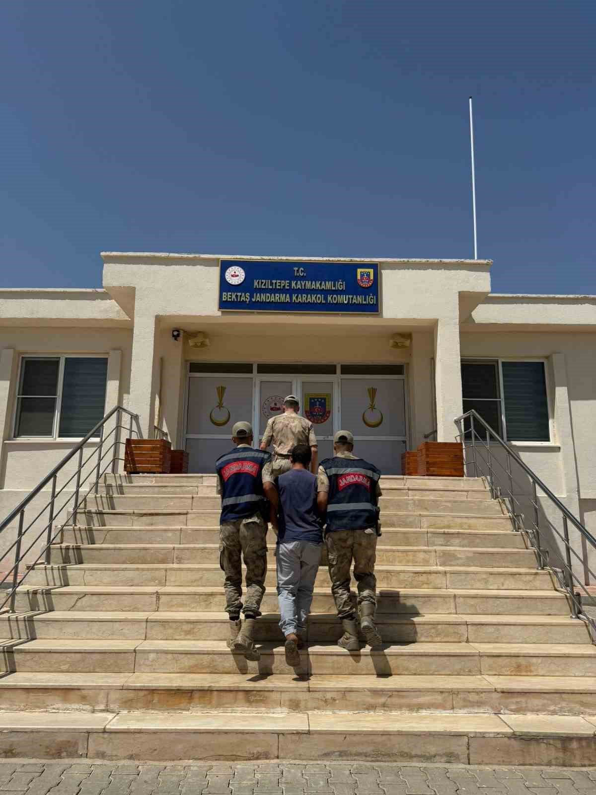 Mardin’de hayvanlara ilişkin uygunsuz paylaşım yapan şahıs gözaltına alındı