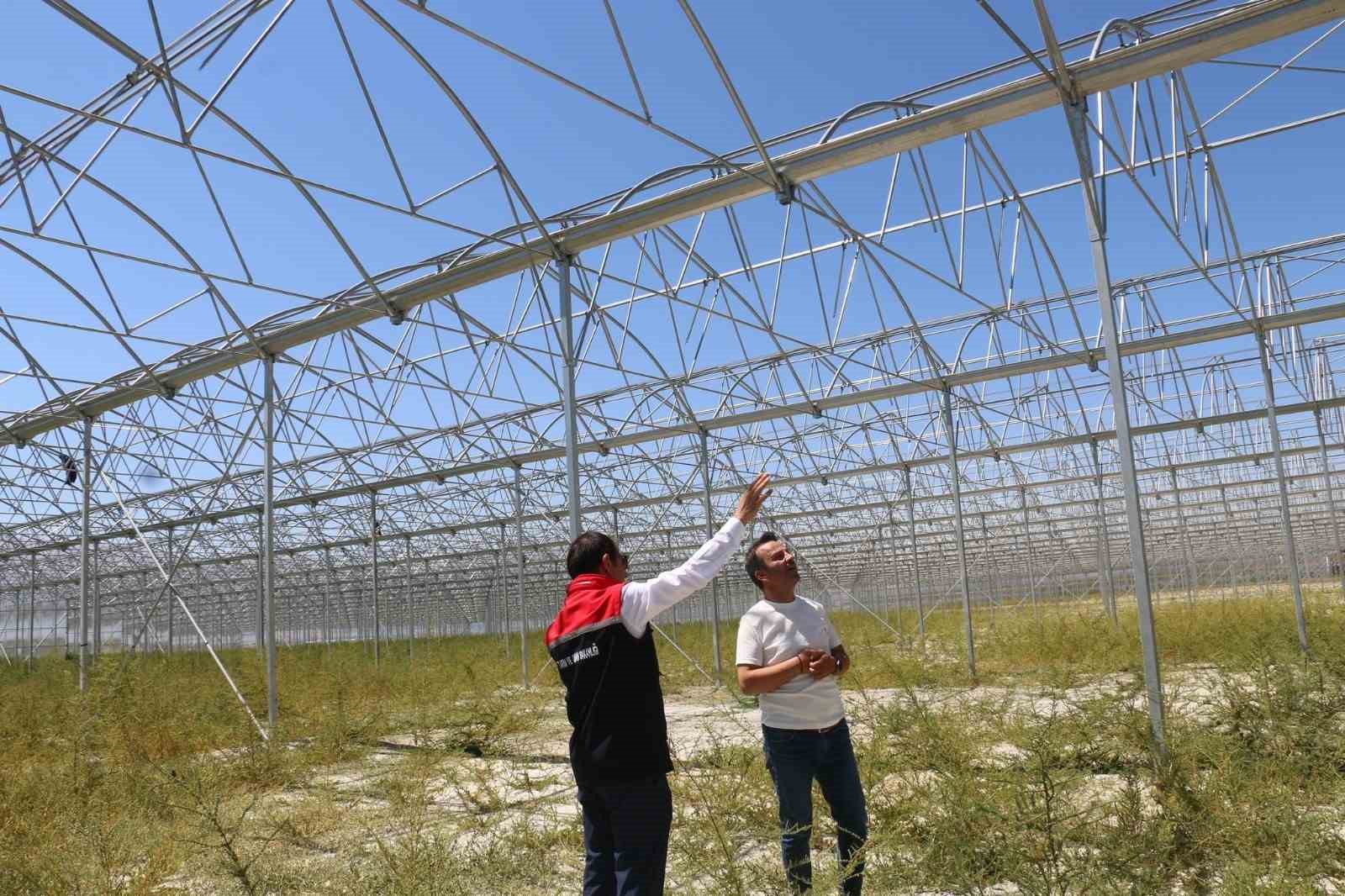 Erzincan’da jeotermal sera yatırımları devam ediyor