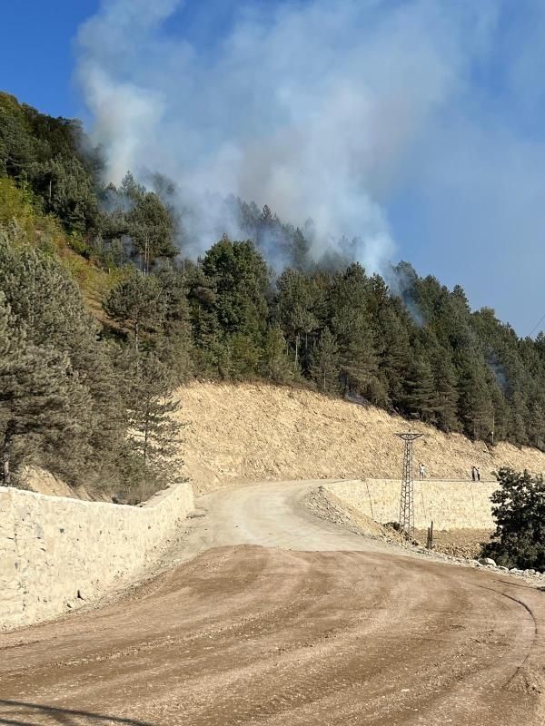 Türkeli’de ormanlık alanda örtü yangını