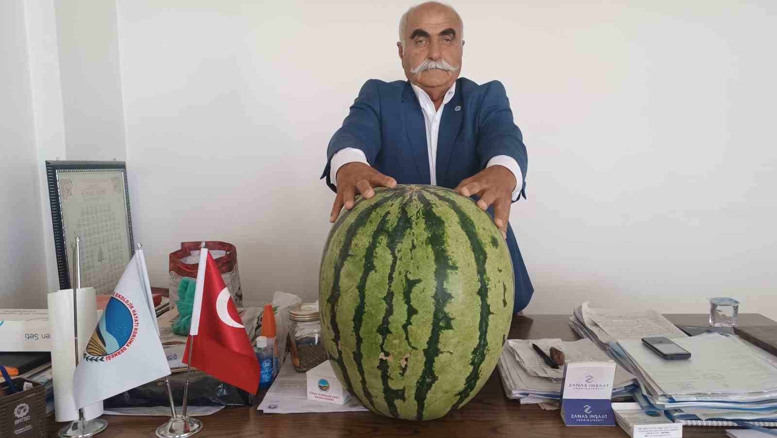 Batman’da 45 kiloluk karpuz dikkat çekti