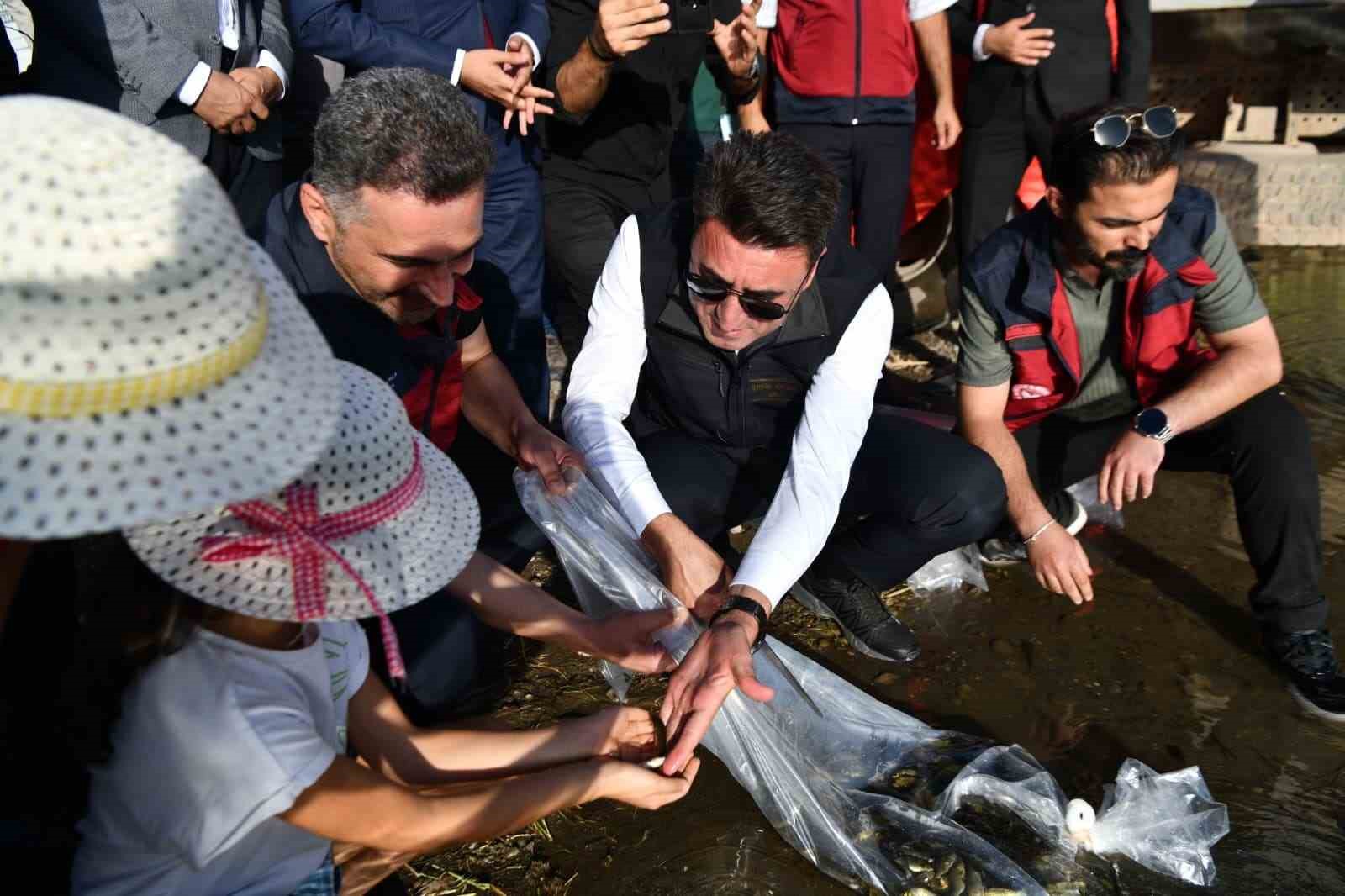 Tunceli’de 850 bin adet balık suyla buluşturuldu