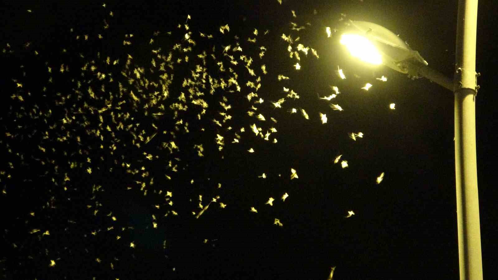 ’Bir günlükler’in ölüm uçuşu geç başladı