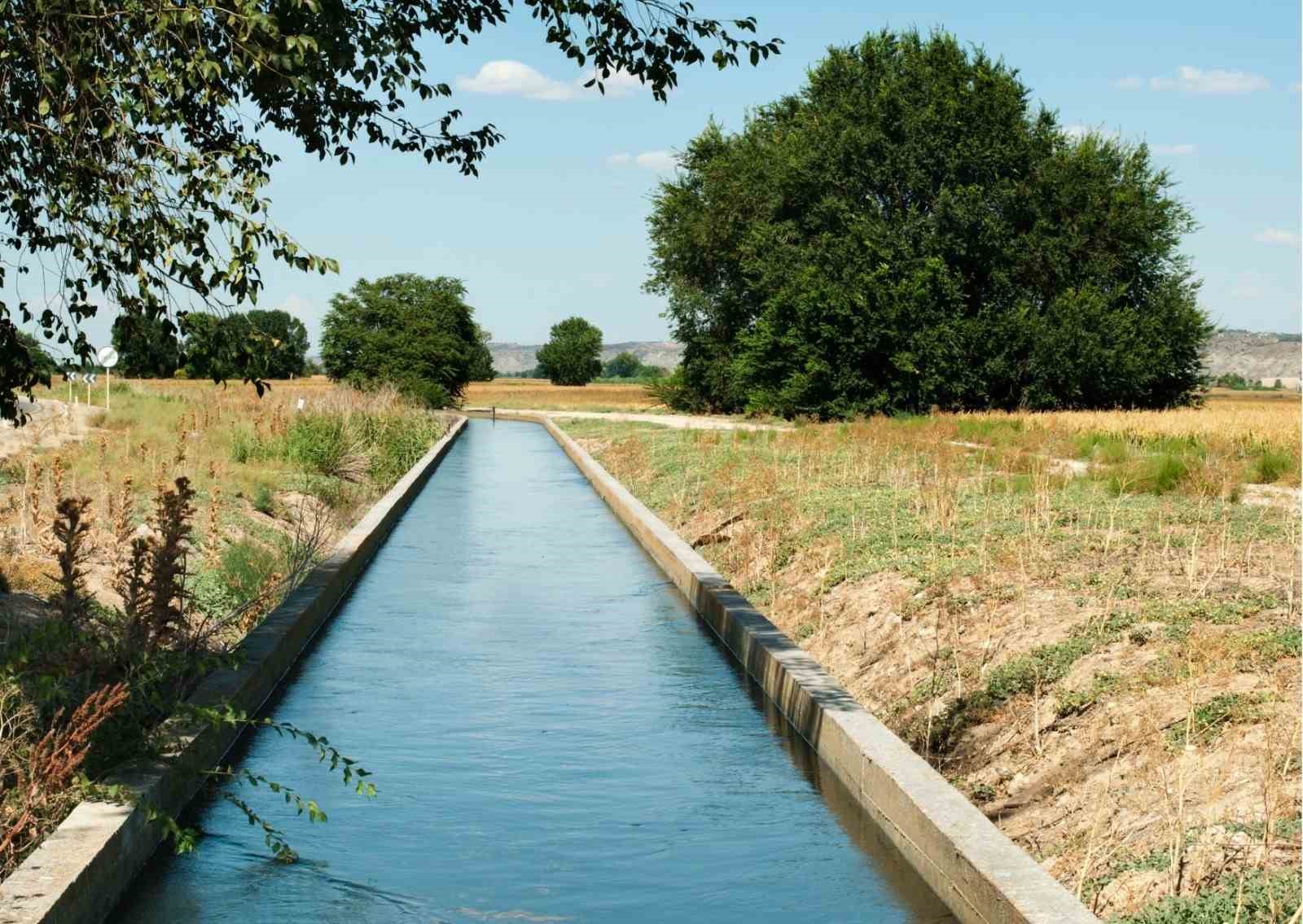 Yüreğir Ziraat Odası Başkanı Doğan: 