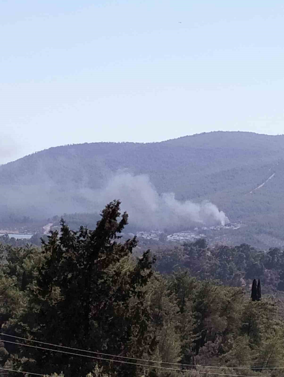 Yangın ormana sıçramadan söndürüldü