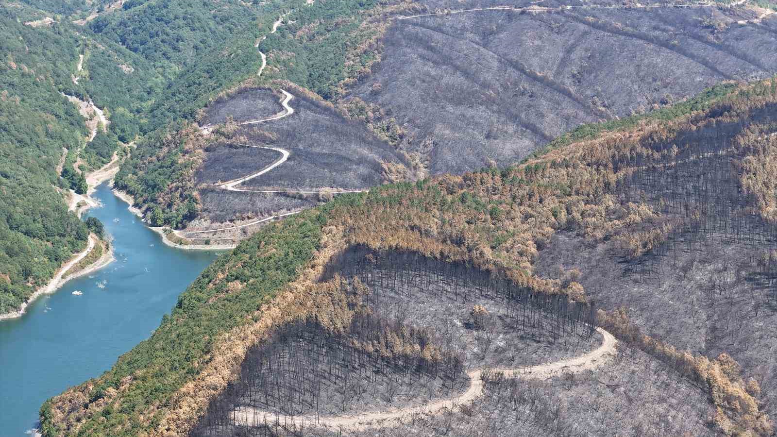 Kocaeli’de yangın sonrası yürek burkan manzara