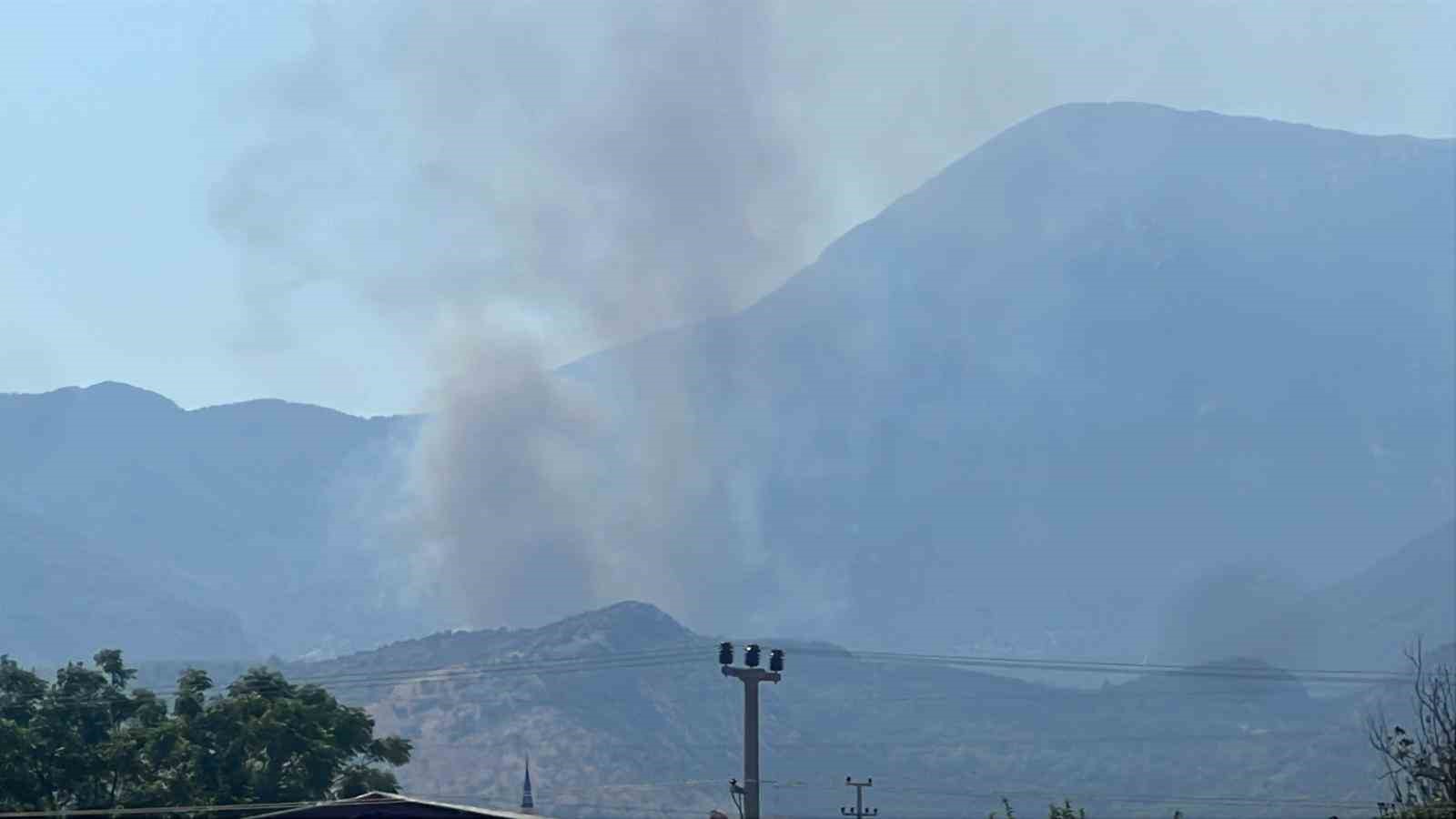 Makilik alanda çıkan yangın ormana sıçradı