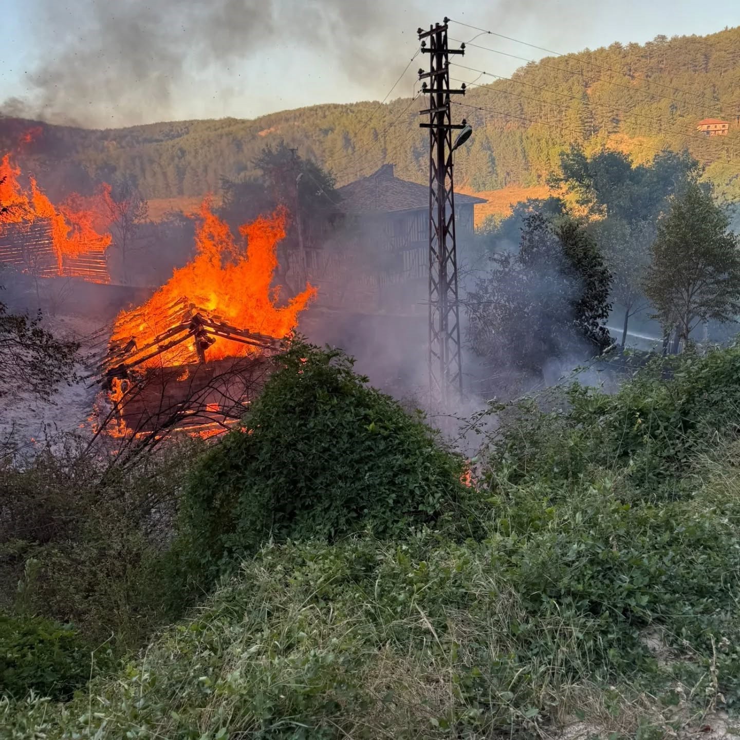 Kastamonu’da alevlere telim olan iki samanlık yandı