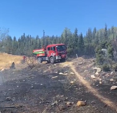 Aliağa’da ormanlık alanda çıkan yangın hızlı müdahale ile söndürüldü