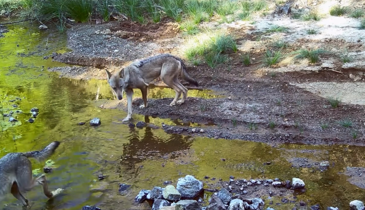 MSKÜ Öğretim Üyesi Dr. İlemin’den çarpıcı uyarı: 