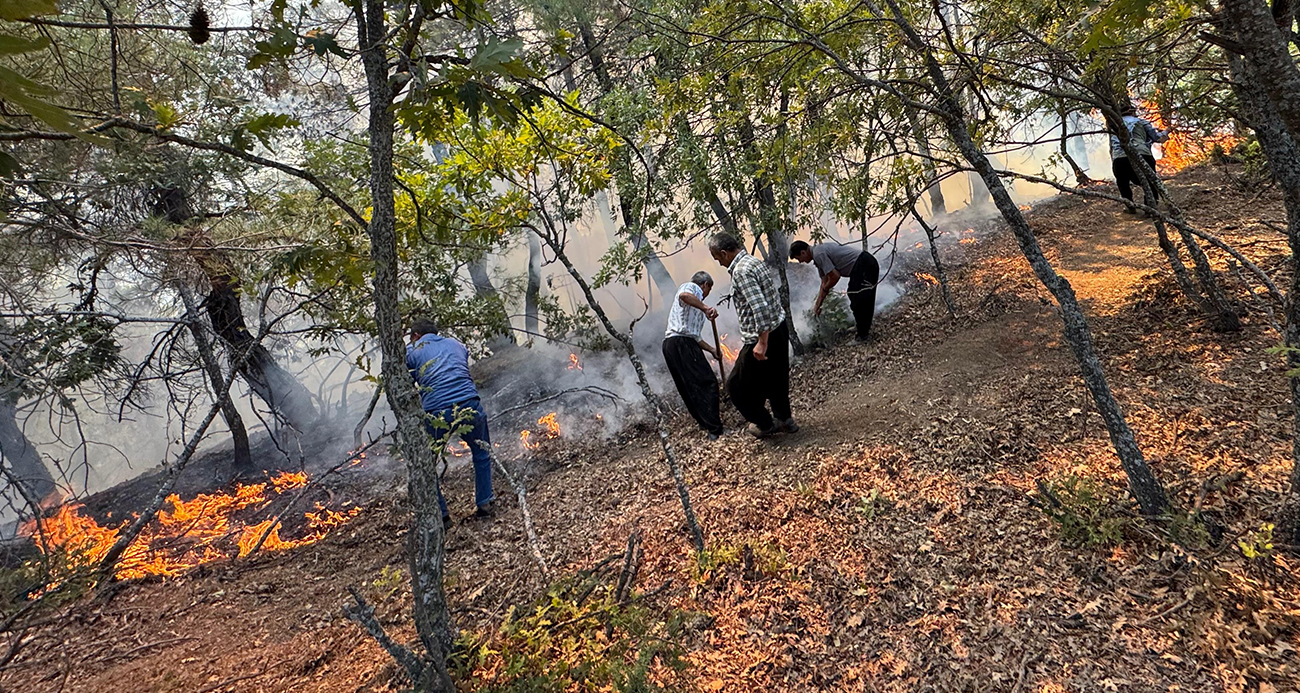 Adana'da orman yangını