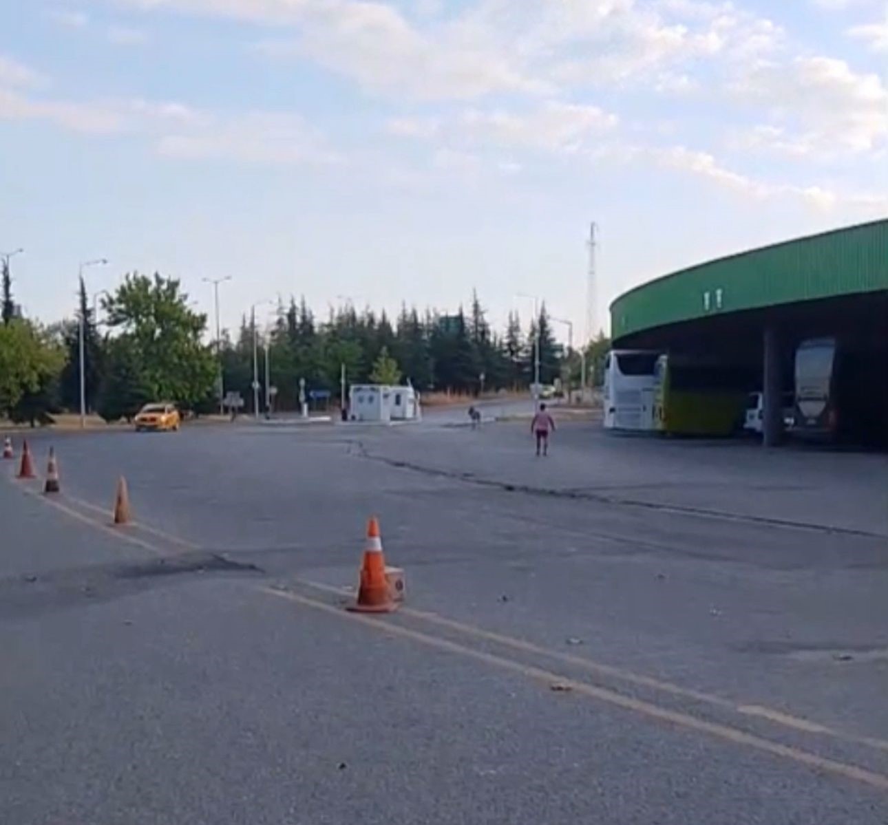 Edirne Otogarı’nda ilginç anlar: Eşek bu kez otobüs şoförünün yastığını çaldı