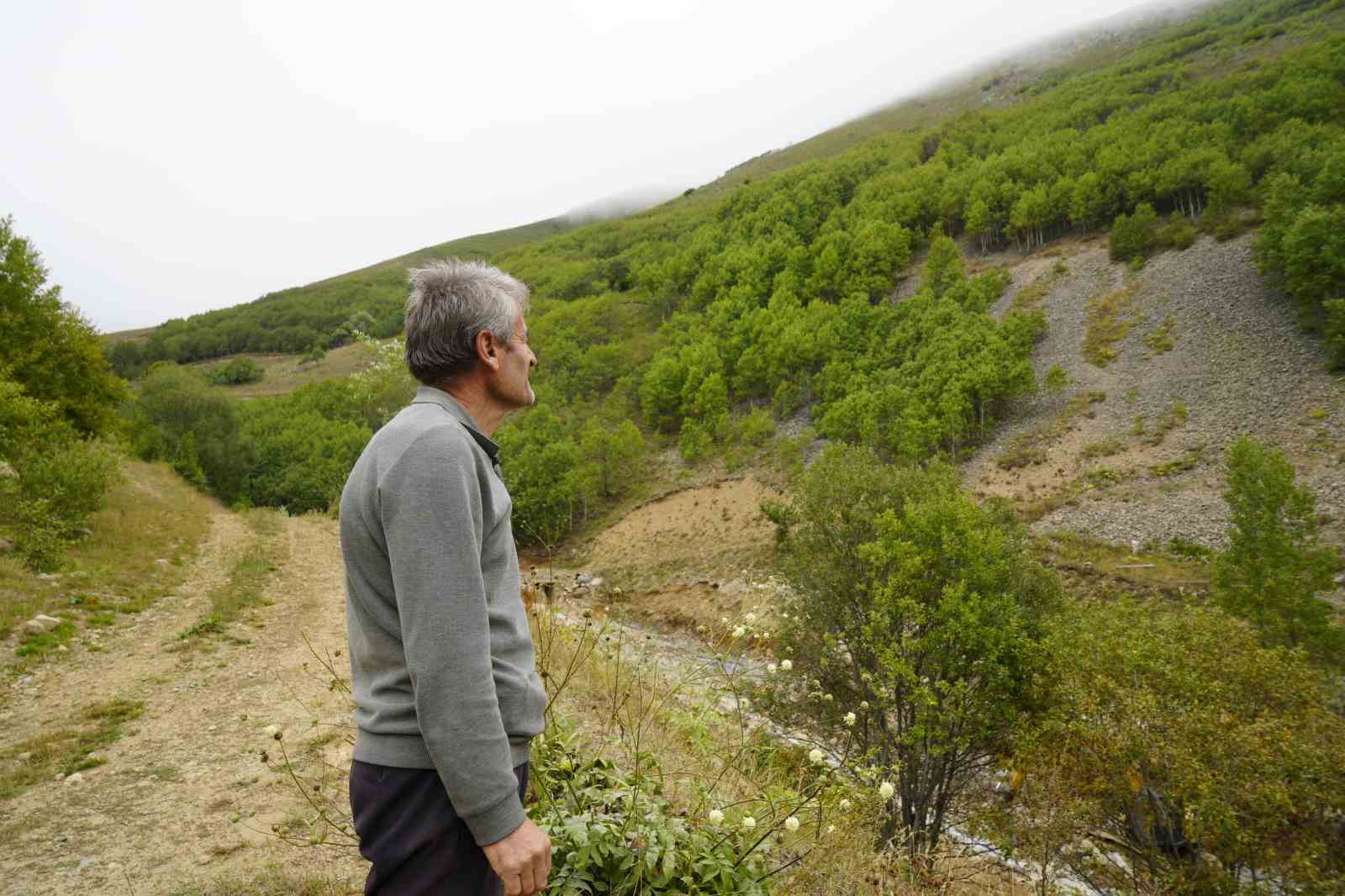 Gümüşhane’de emekli imam kendi imkânlarıyla köyüne 50 bin ağaç dikti