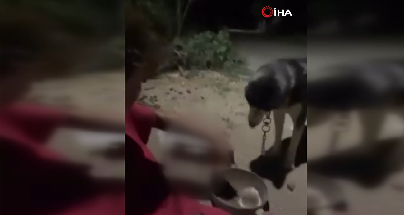 Ankara’da bir kişi köpeğine alkol içirdi