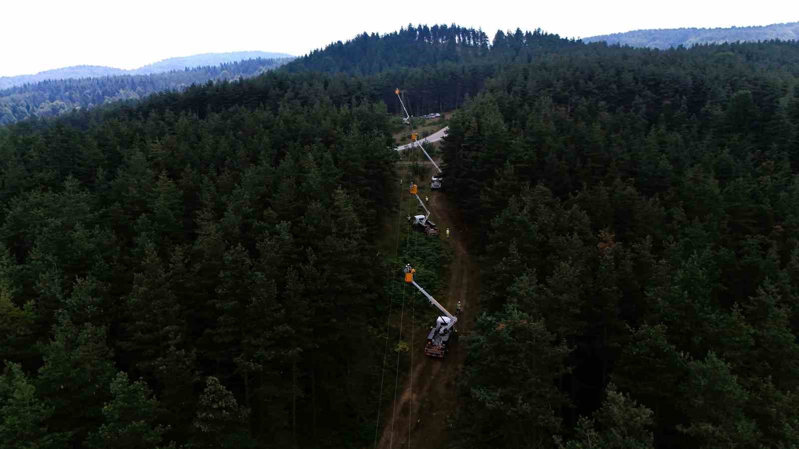 SEDAŞ, orman yangınlarına karşı dron destekli denetimlerini artırdı