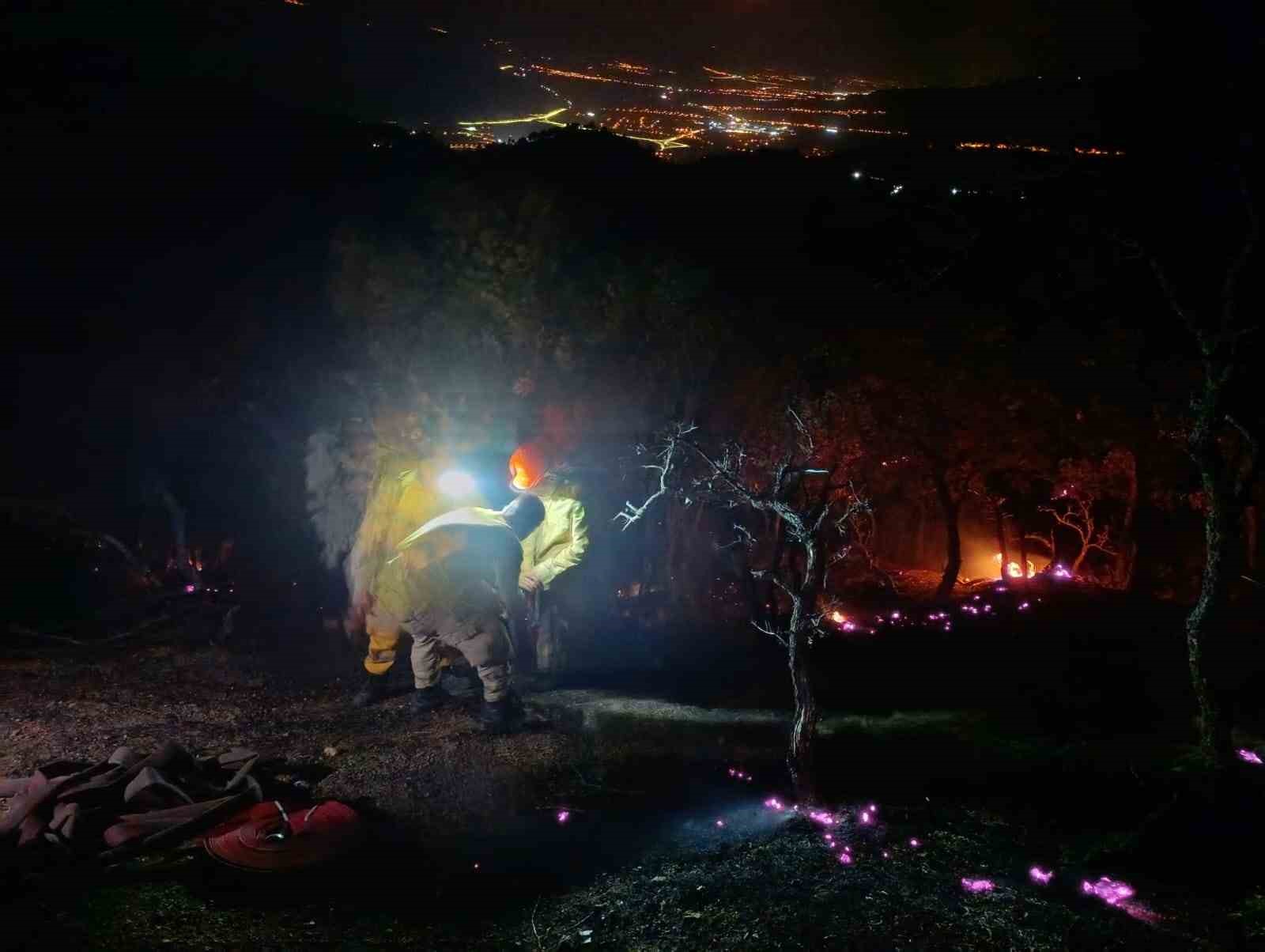 Aydın - Denizli sınırında çıkan orman yangını kontrol altına alındı