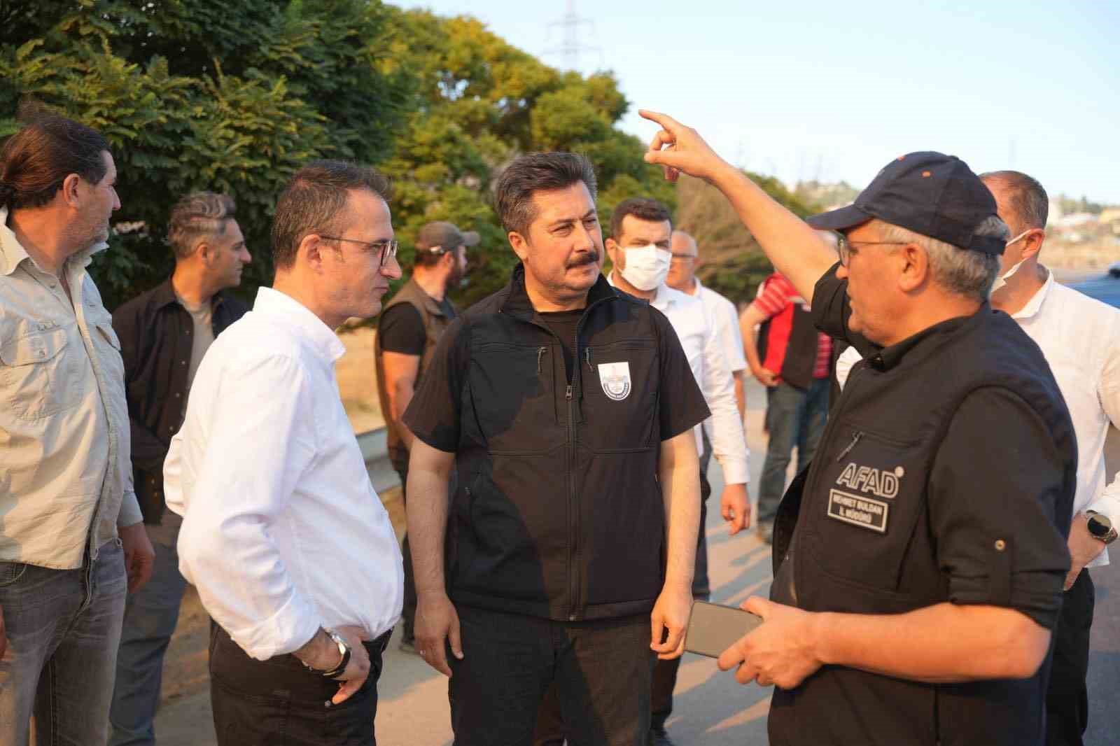 Yenişehir’de 100 hektarlık alan küle döndü