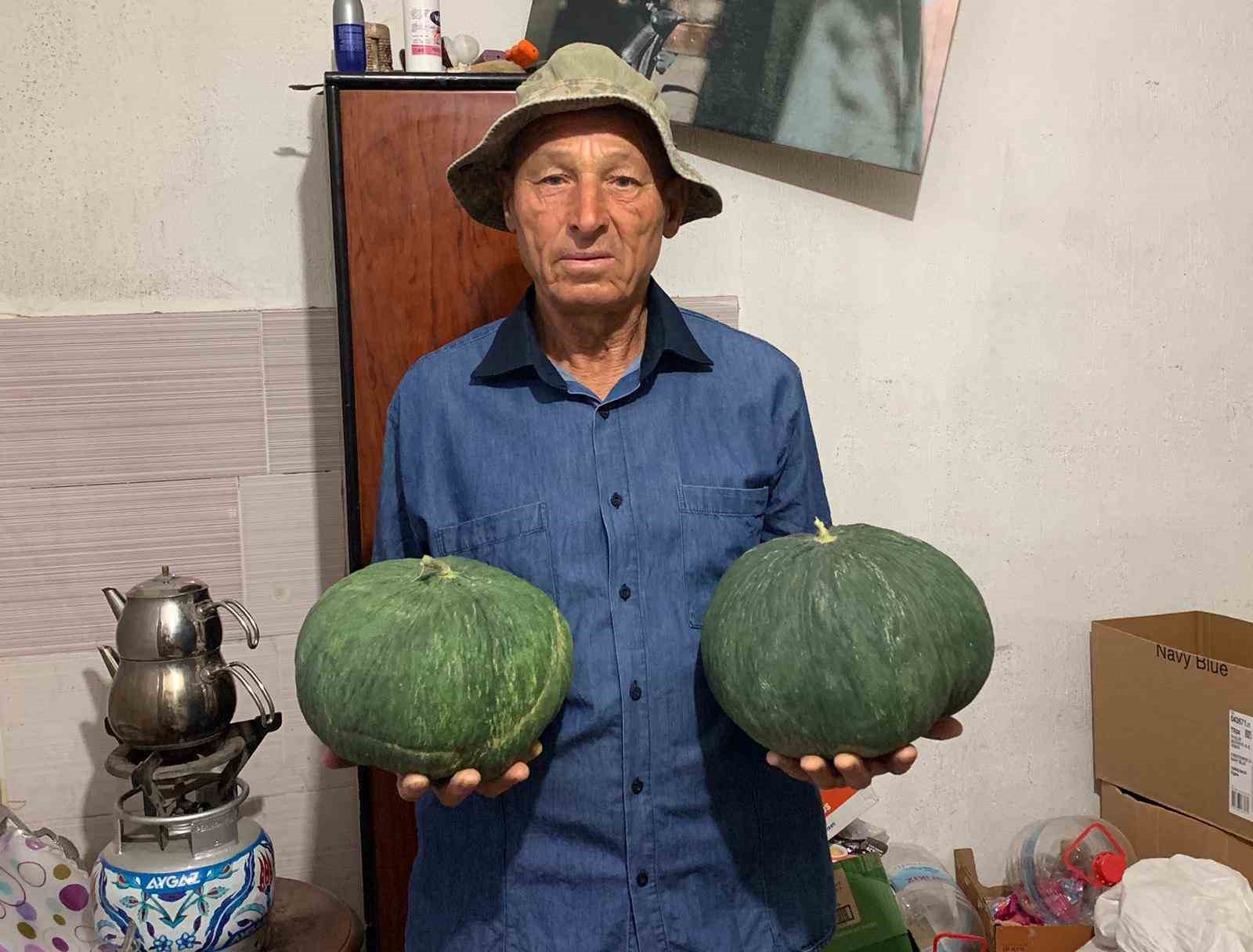 Dededen kalan tohumla 