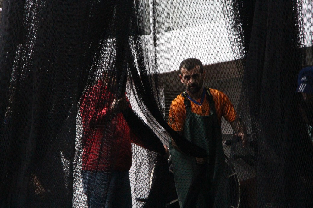 Balıkçılar 1 Eylül’de 