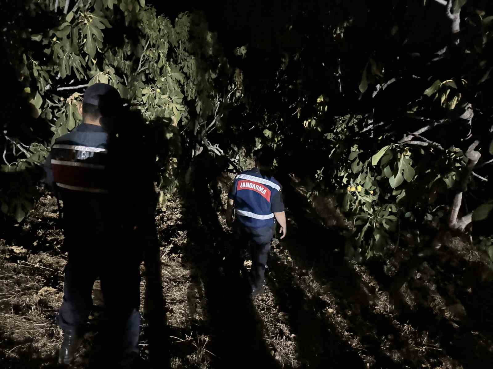 Jandarma, incir hırsızlarına geçit vermiyor